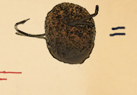 Stubby Steve's Fish Food Lure