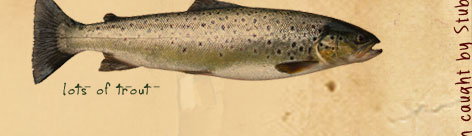 lots of trout!